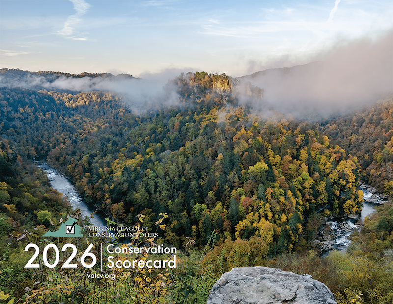 2026 Conservation Scorecard