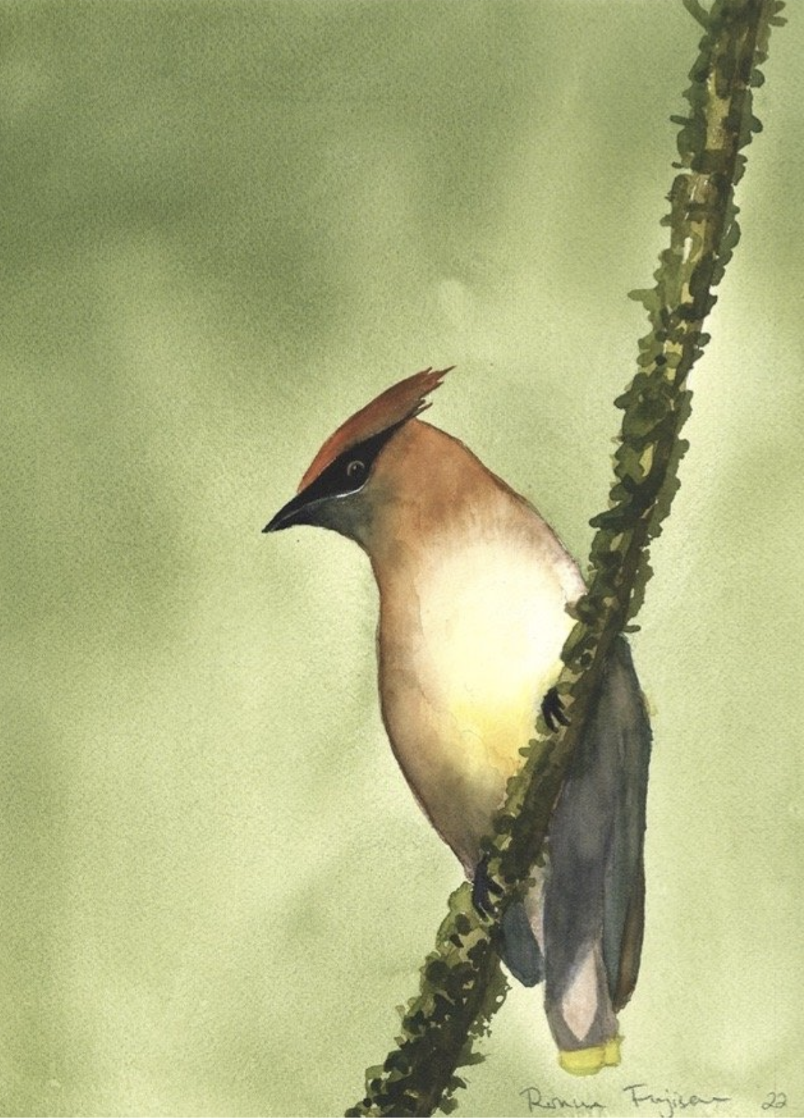 Painting Birds in Watercolor Watercolor Mastery Workshop