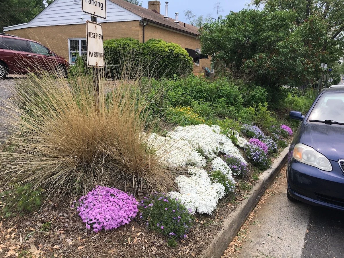 Plant the Slant: Tips for Gardening on Slopes