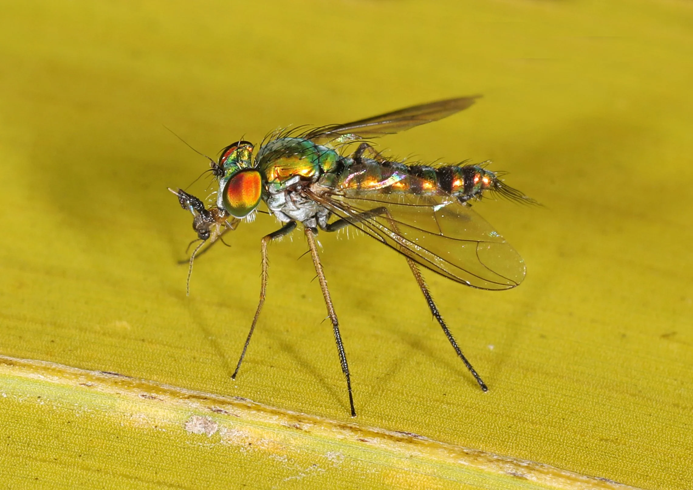 A Closer Look: Nature All Around Us, October