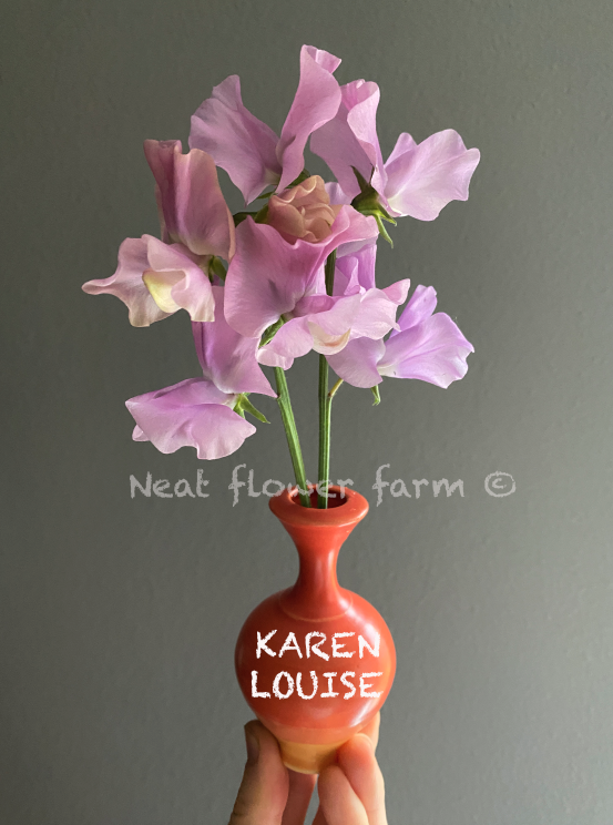 Screenshot 2026-01-20 at 11.58.28 AM.png