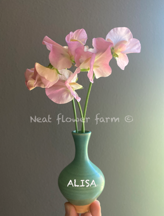 Screenshot 2026-01-20 at 11.55.47 AM.png