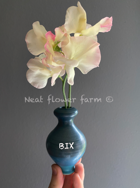 Screenshot 2026-01-20 at 11.53.49 AM.png