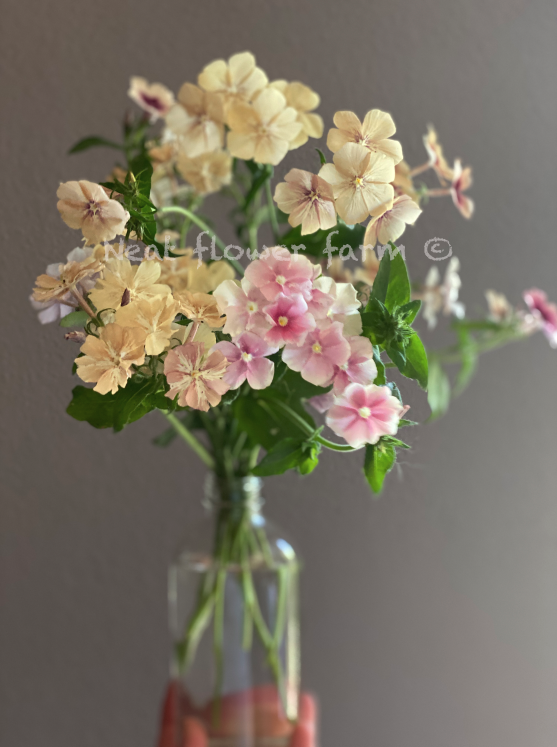 Screenshot 2026-01-20 at 12.20.23 PM.png