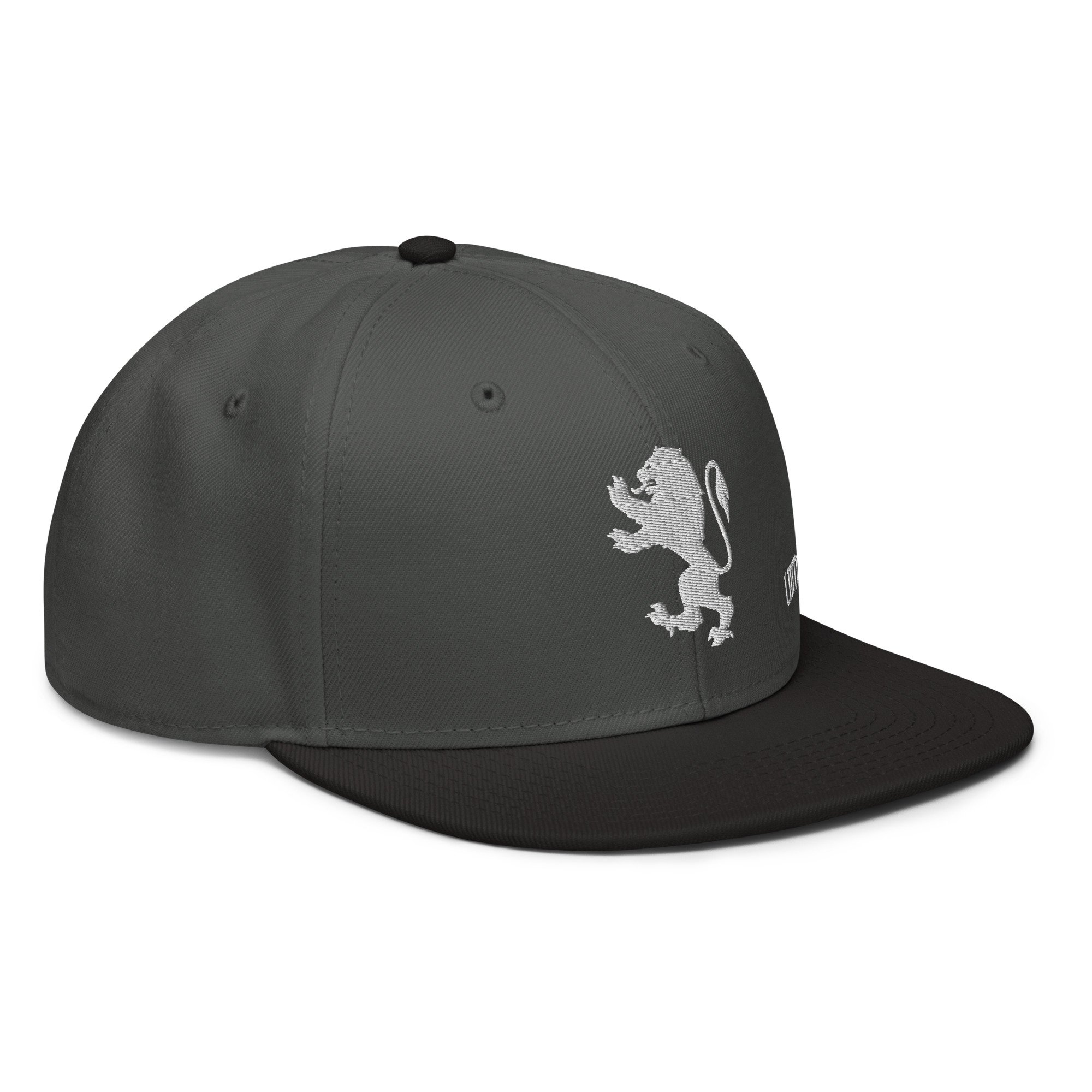 snapback-black-charcoal-gray-charcoal-gray-right-front-672d04d742a3c.jpg