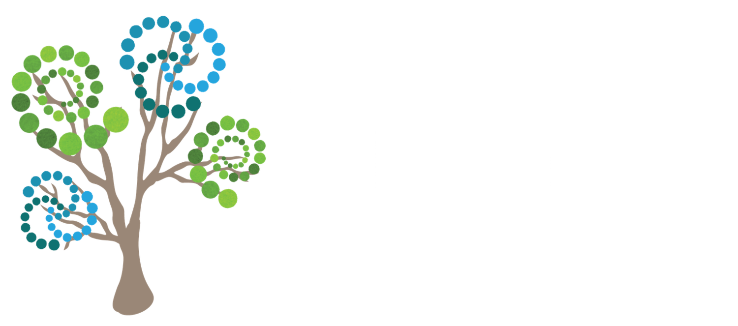Village High School