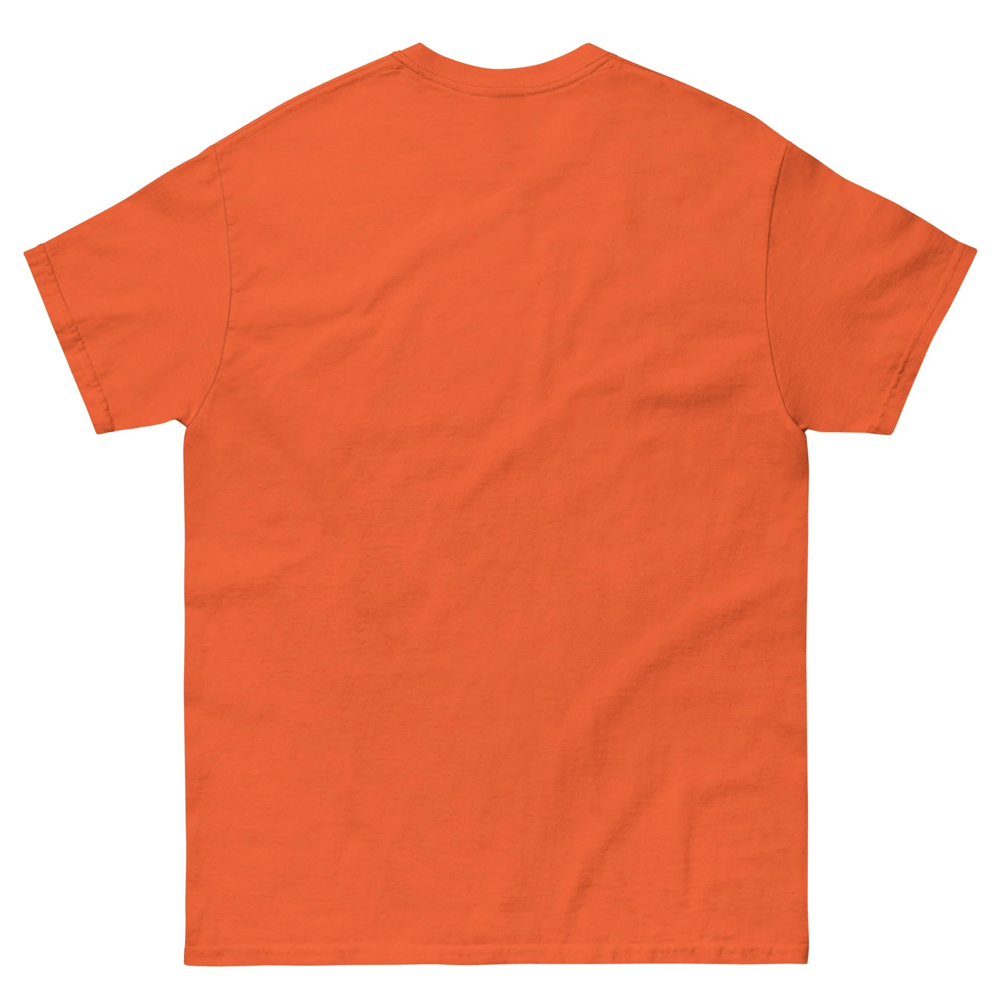 unisex-classic-tee-orange-back-6935c800dc655.jpg