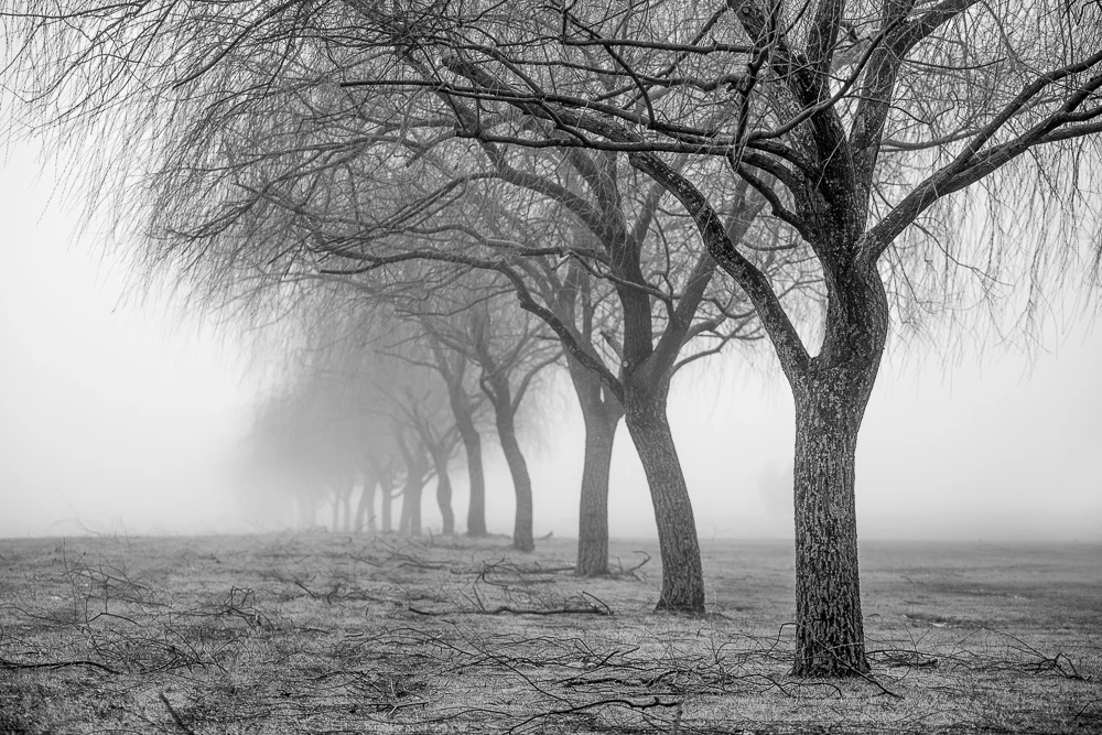 IMG_0697 bw.jpg