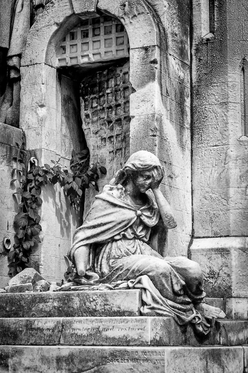 016 IMG_9292-2 b&w.jpg