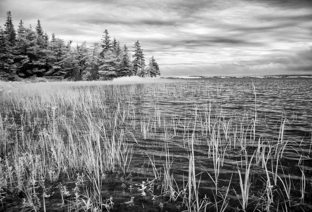 IMG_5489 bw.jpg