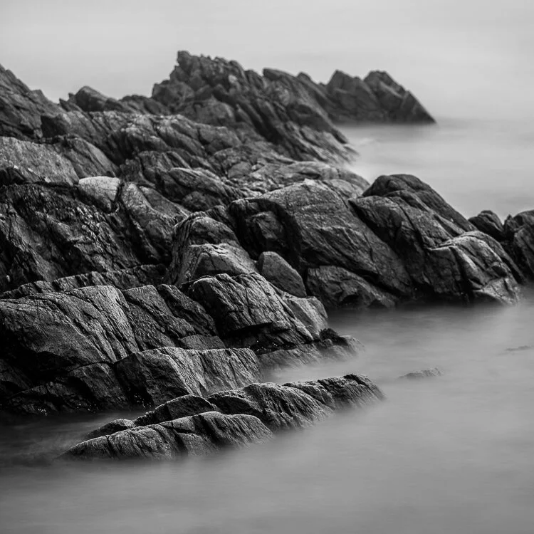 IMG_5775 bw.jpg