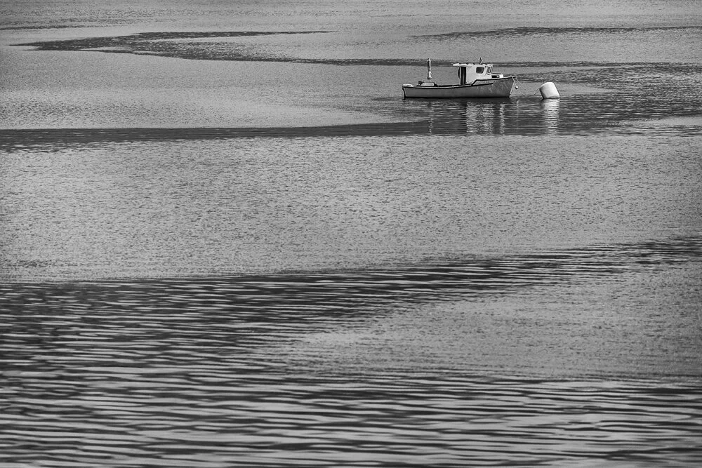 IMG_6941 bw_.jpg