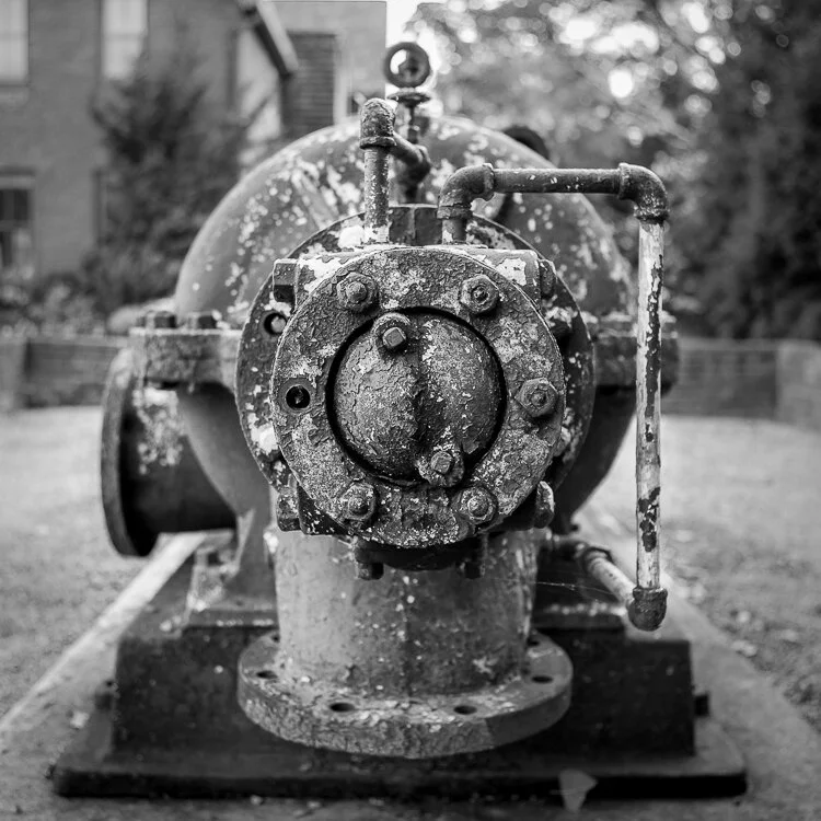 IMG_6650 b&w.jpg