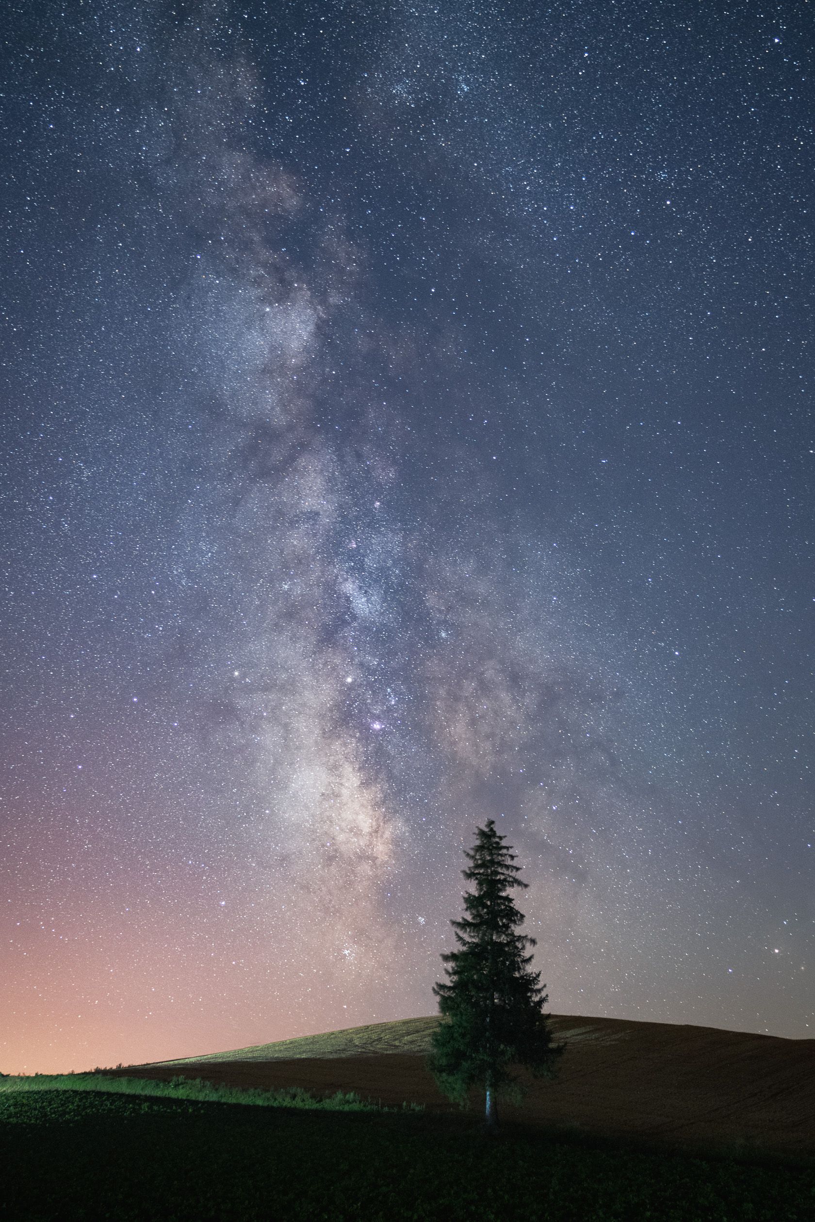 Stargazer.jpg