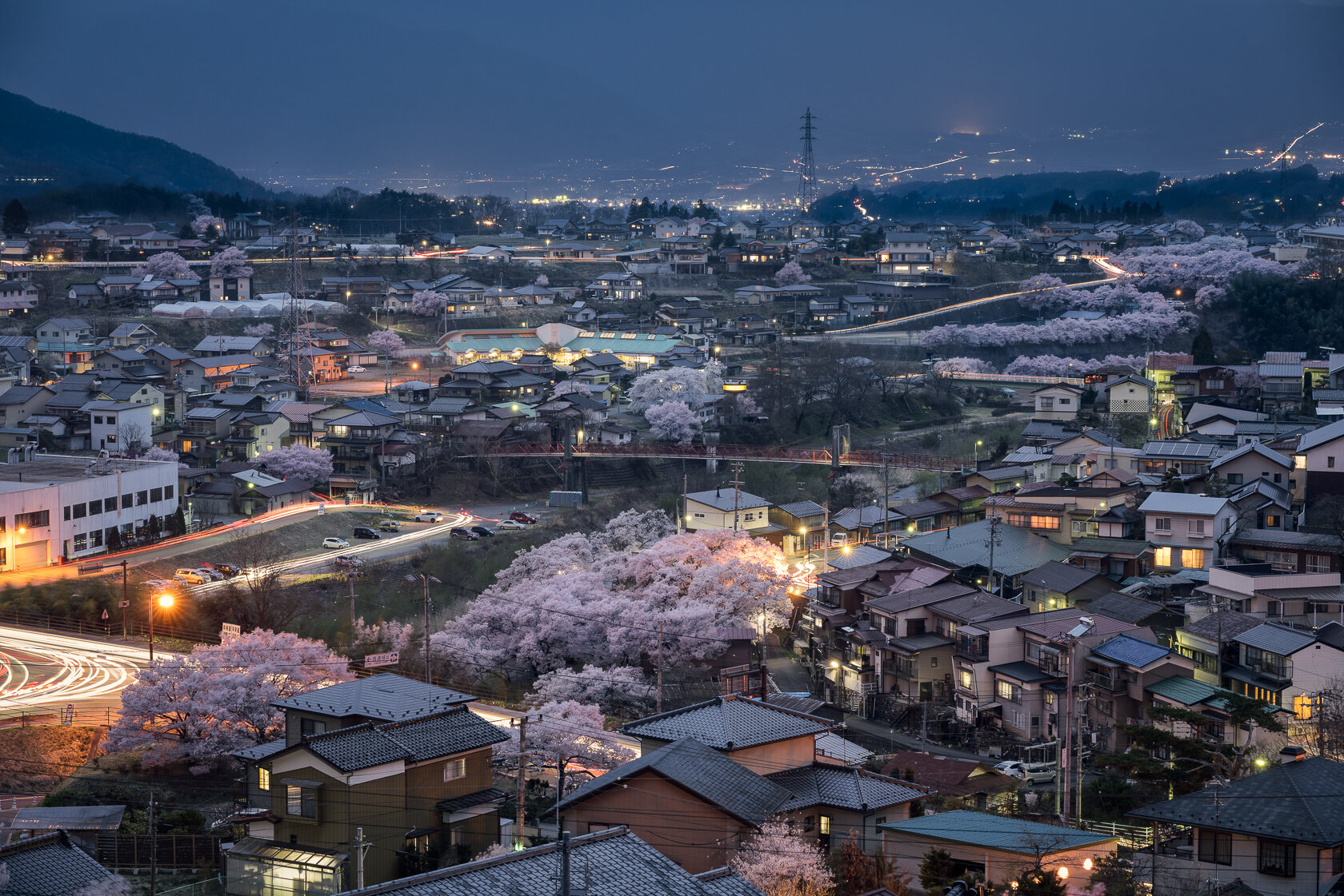 Sakura Night.jpg