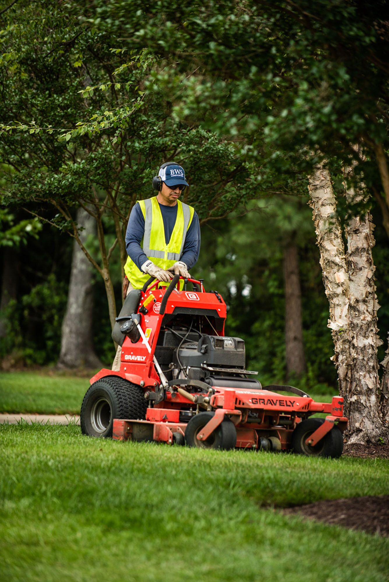 BWS-Landscaping-2019 © Caroline Martin Photography-5.jpg