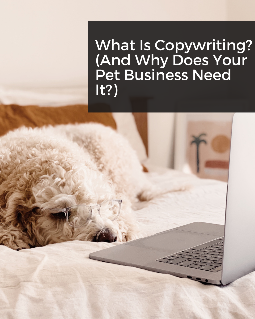What Is Copywriting? (And Why Does Your Pet Business Need It?