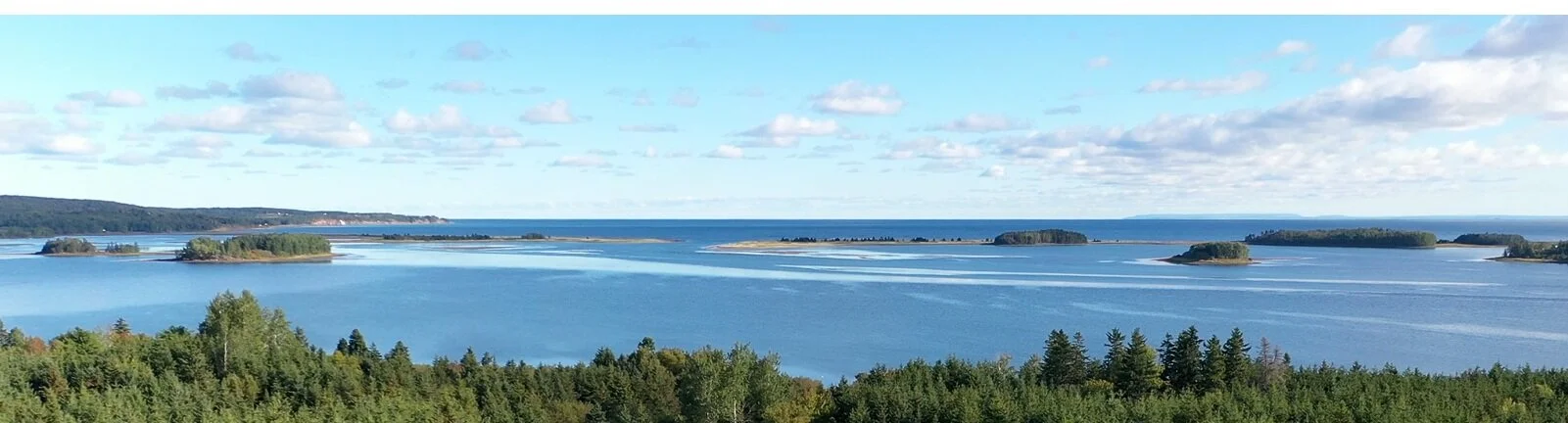 Awaiting ARB Decision