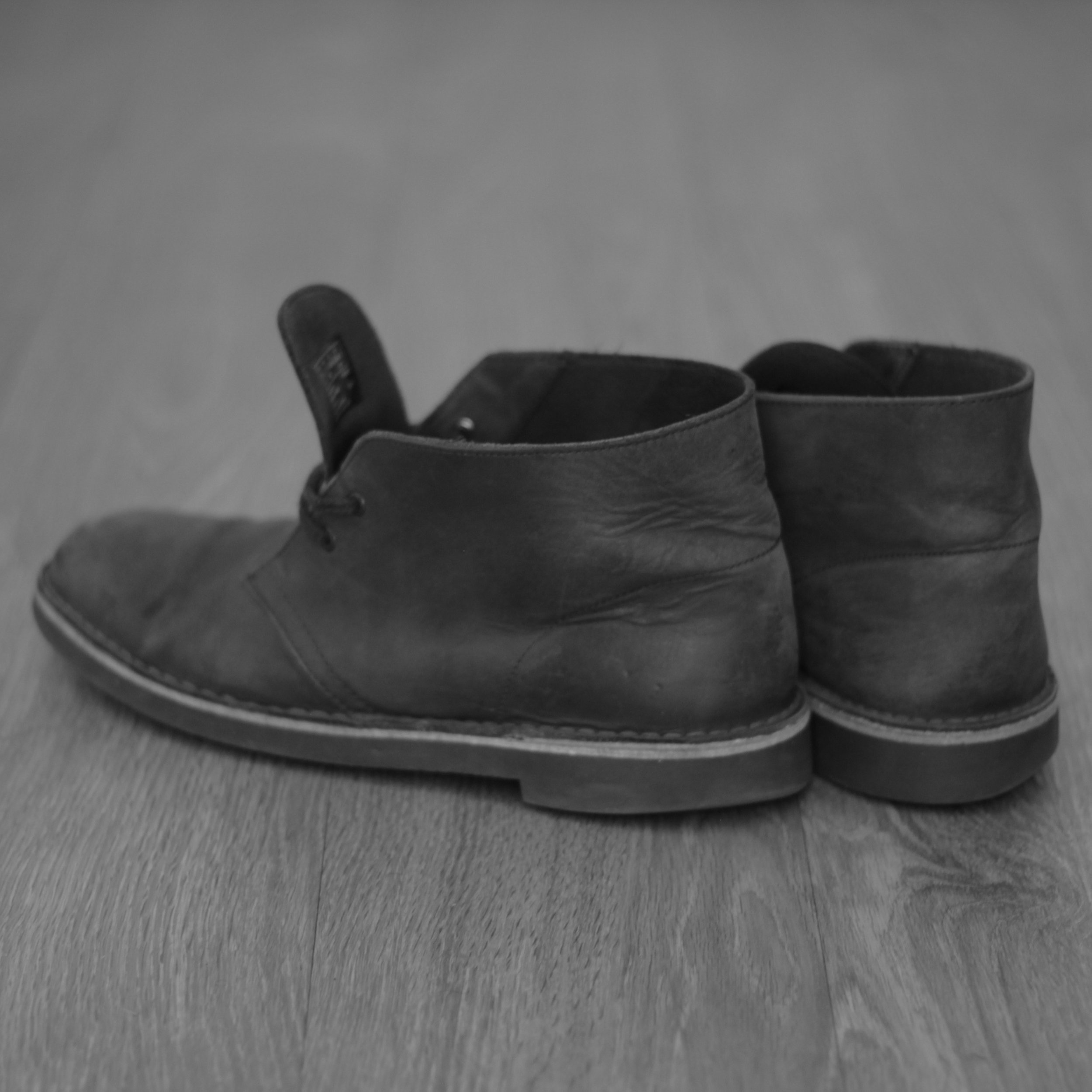 IMG_2311.jpeg