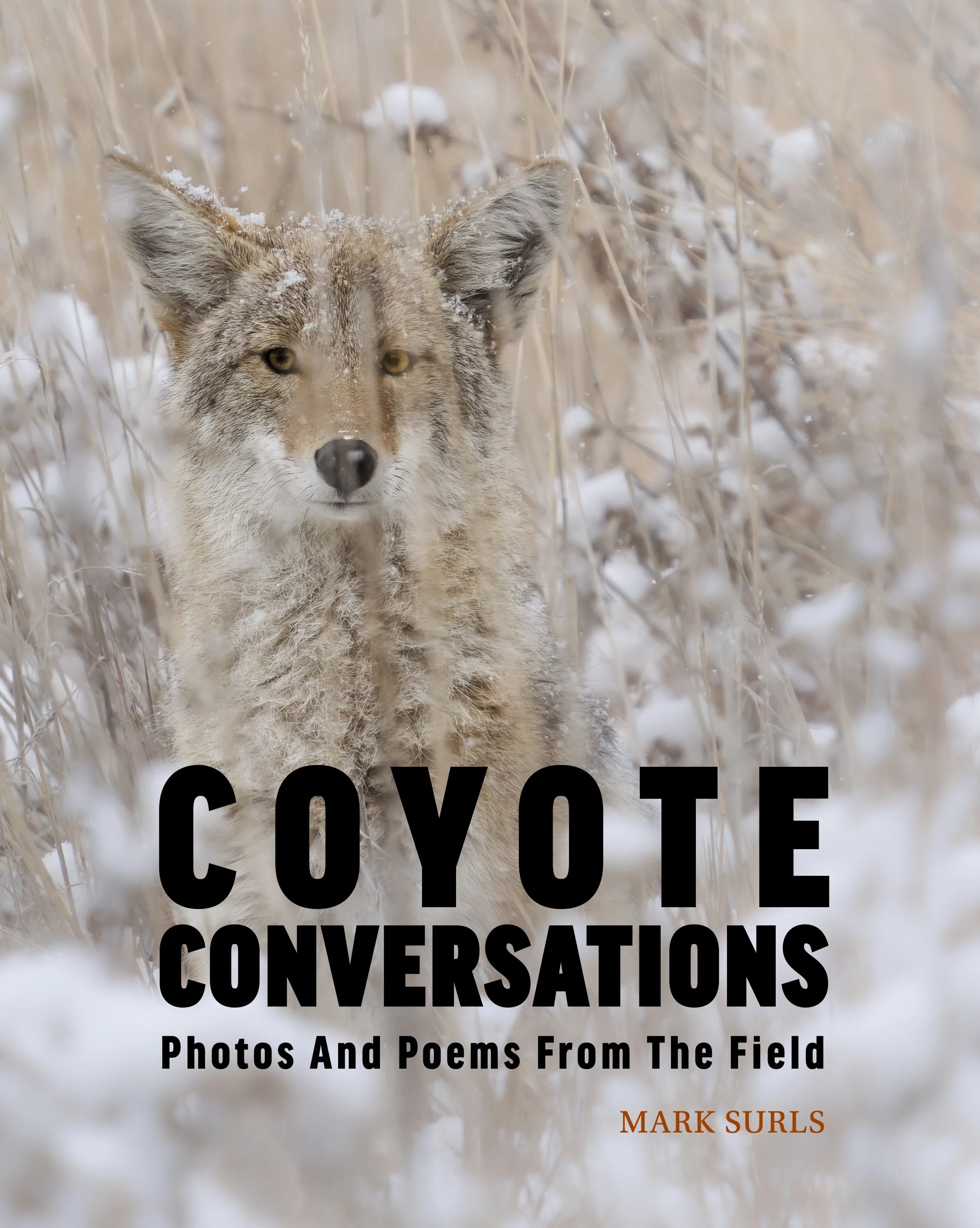 Coyote Conversations Cover.jpeg