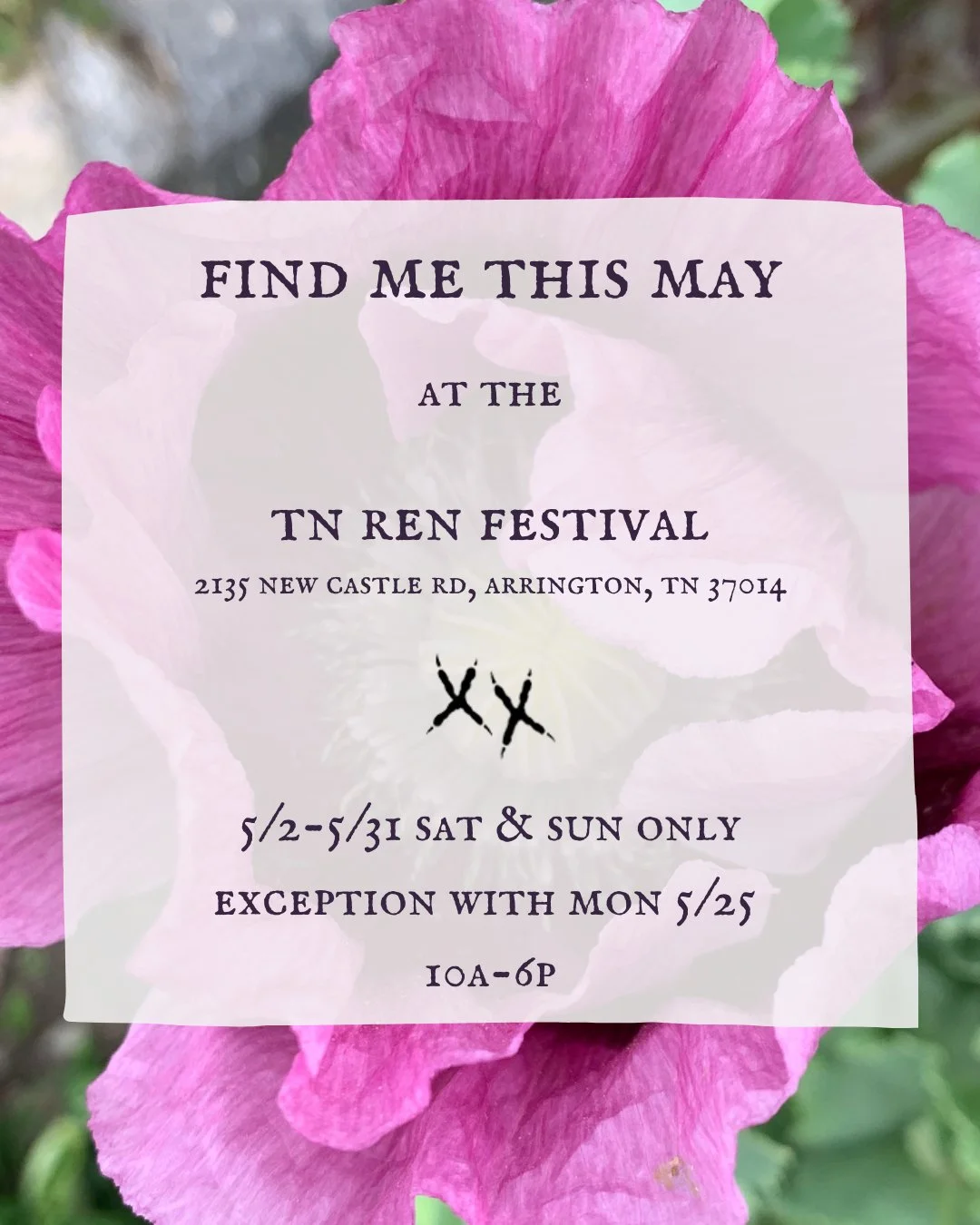 I am excited to be back @tnrenfest for another season. You can find me across from the Mermaids this year. I will have my full apothecary available, including some new seasonal offerings, and limited offerings that are only available in person. ⁠
⁠
5