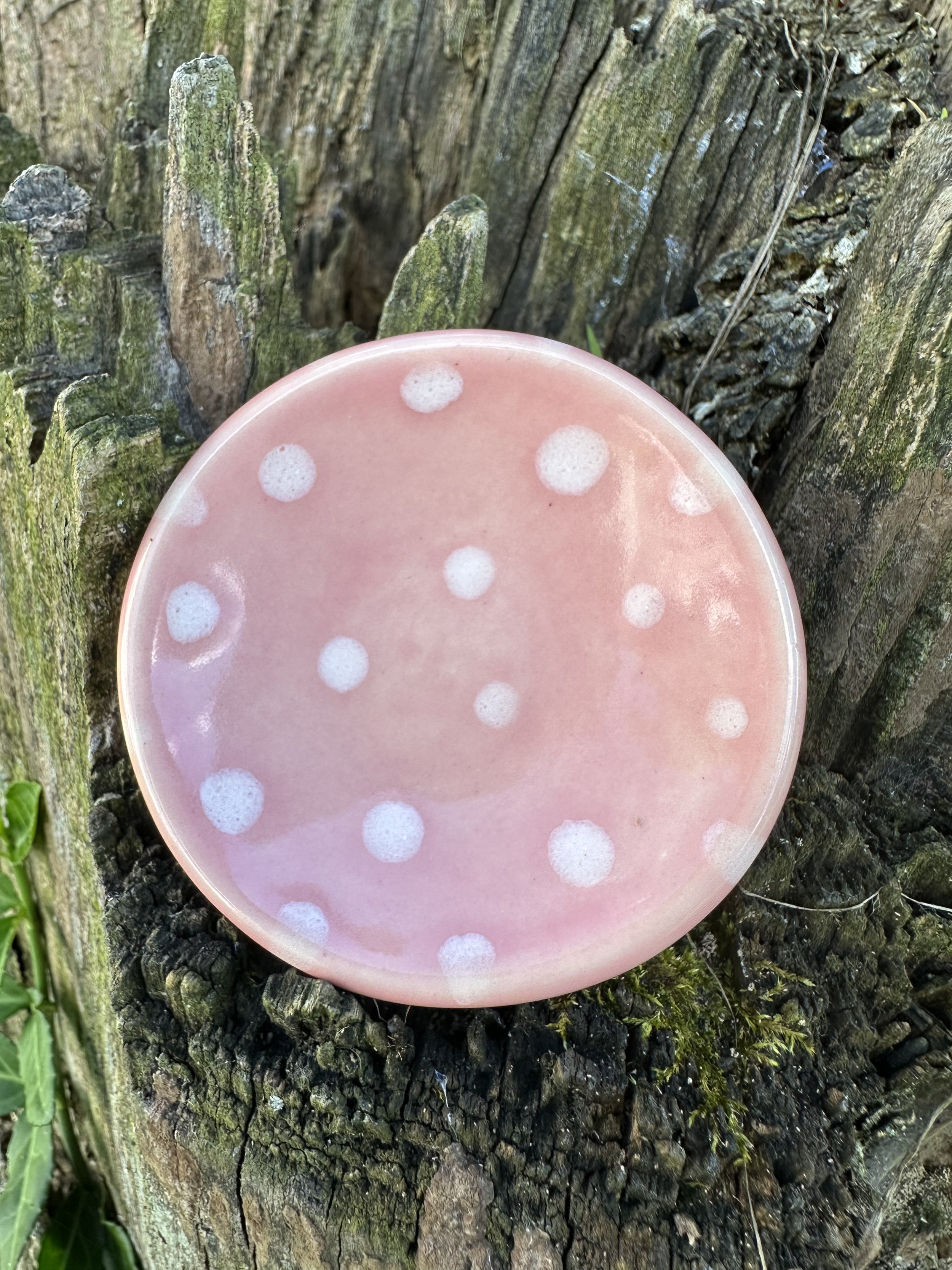 Pink Mushroom.jpeg