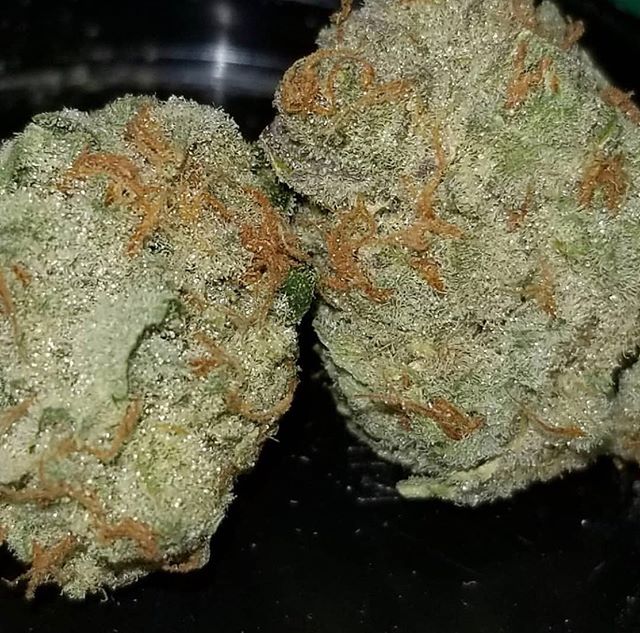 Romulan - Indica-leaning, this strain is a powerful indica revered for its potent beneficial qualities. Though mostly indica, its sativa genetics lend to an intense cerebral effect. It has a deep relaxing sedation that leaves the whole body calm. 🐼 