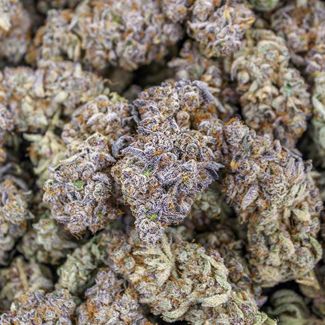 Point Break - Hybrid, this strain is an uplifting and euphoric strain that offers plenty of energy and invigoration, and a blast of mood enhancement and body buzz.⁣
⁣
Cultivated by us @phatpanda | Bred by @surfrseeds 🐼 #phatpanda #topshelf