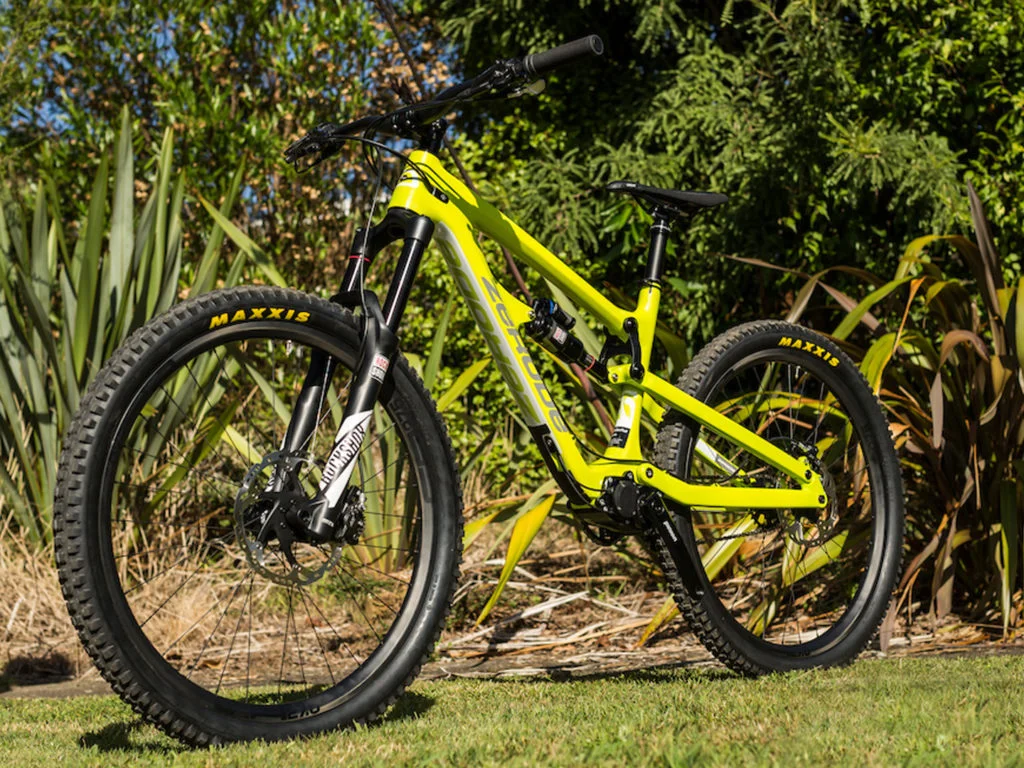 Zerode Taniwha