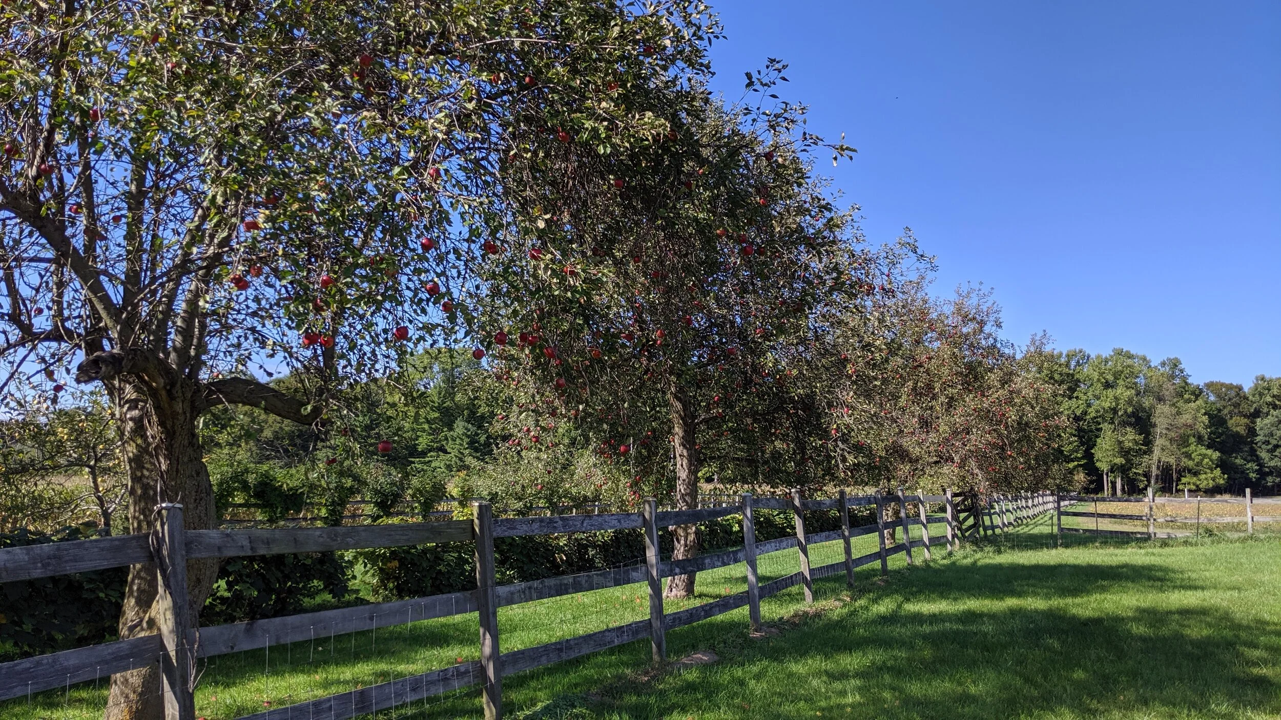 Explore — Berrywood Farm