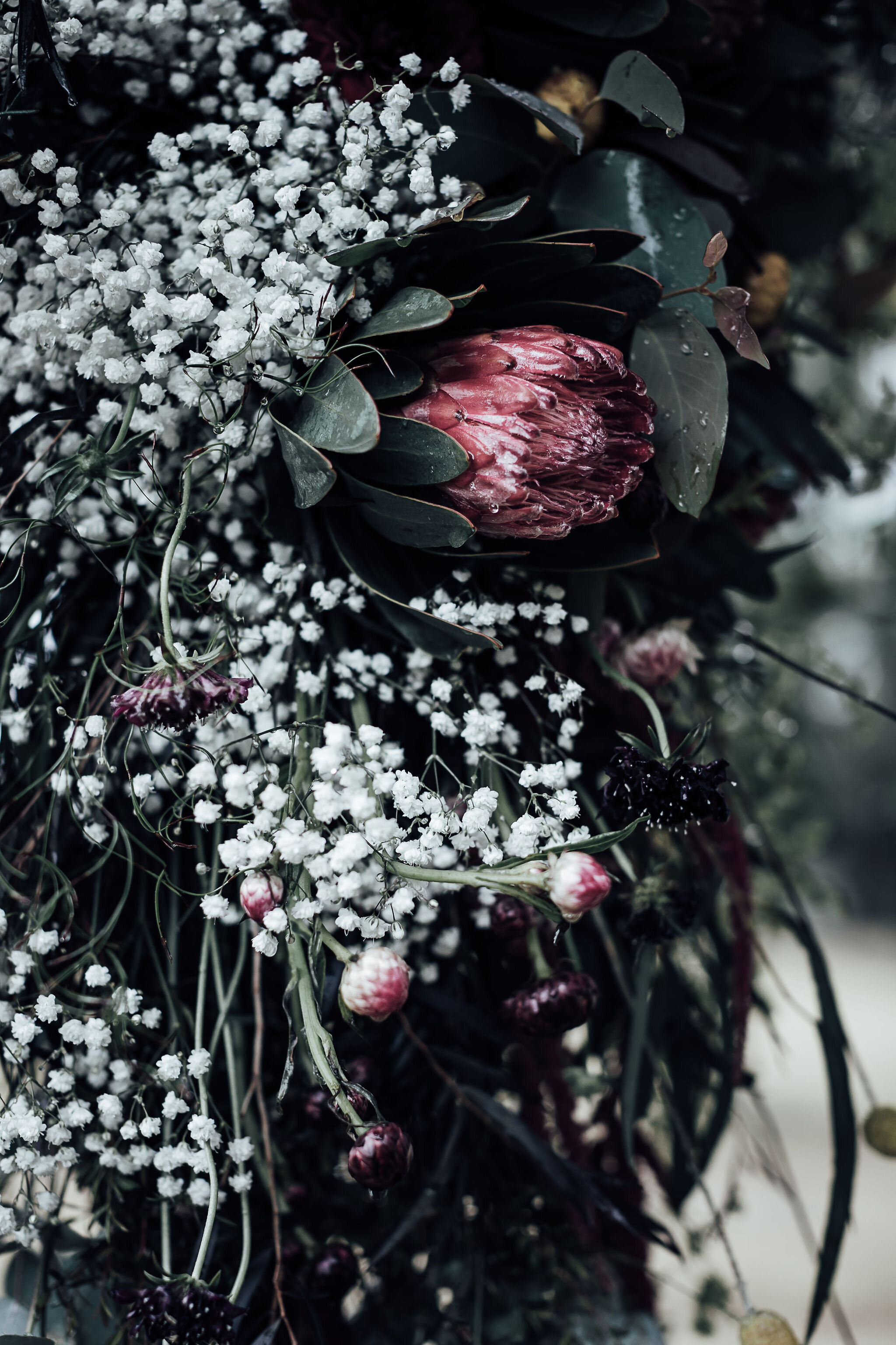 Fiona-+-Bobby-Photography-Collits-Inn-Amy-+-Chris's-Wedding_149_0304.jpg