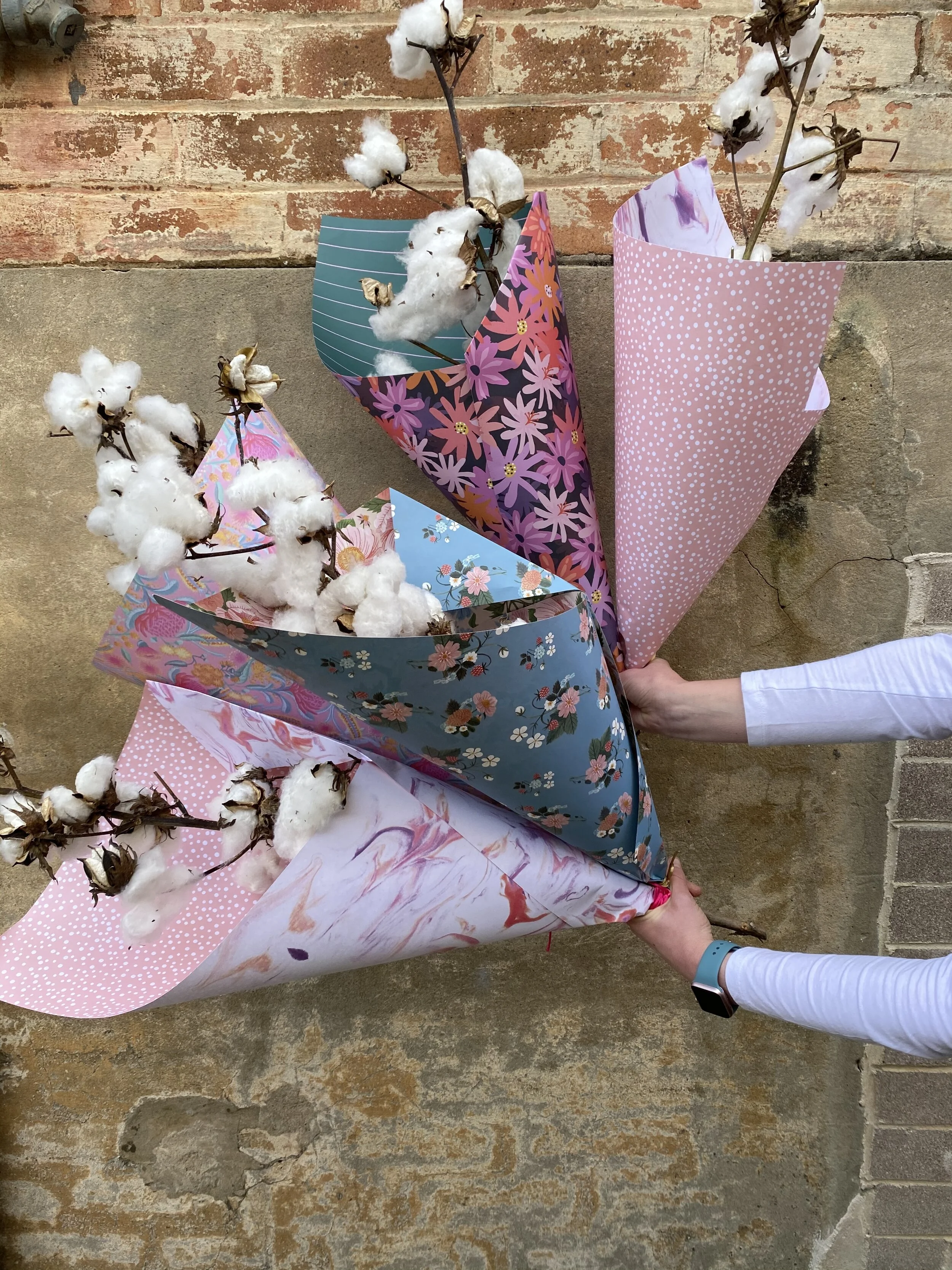 F975667E-039C-4CC1-AB7A-F580F009EA4D