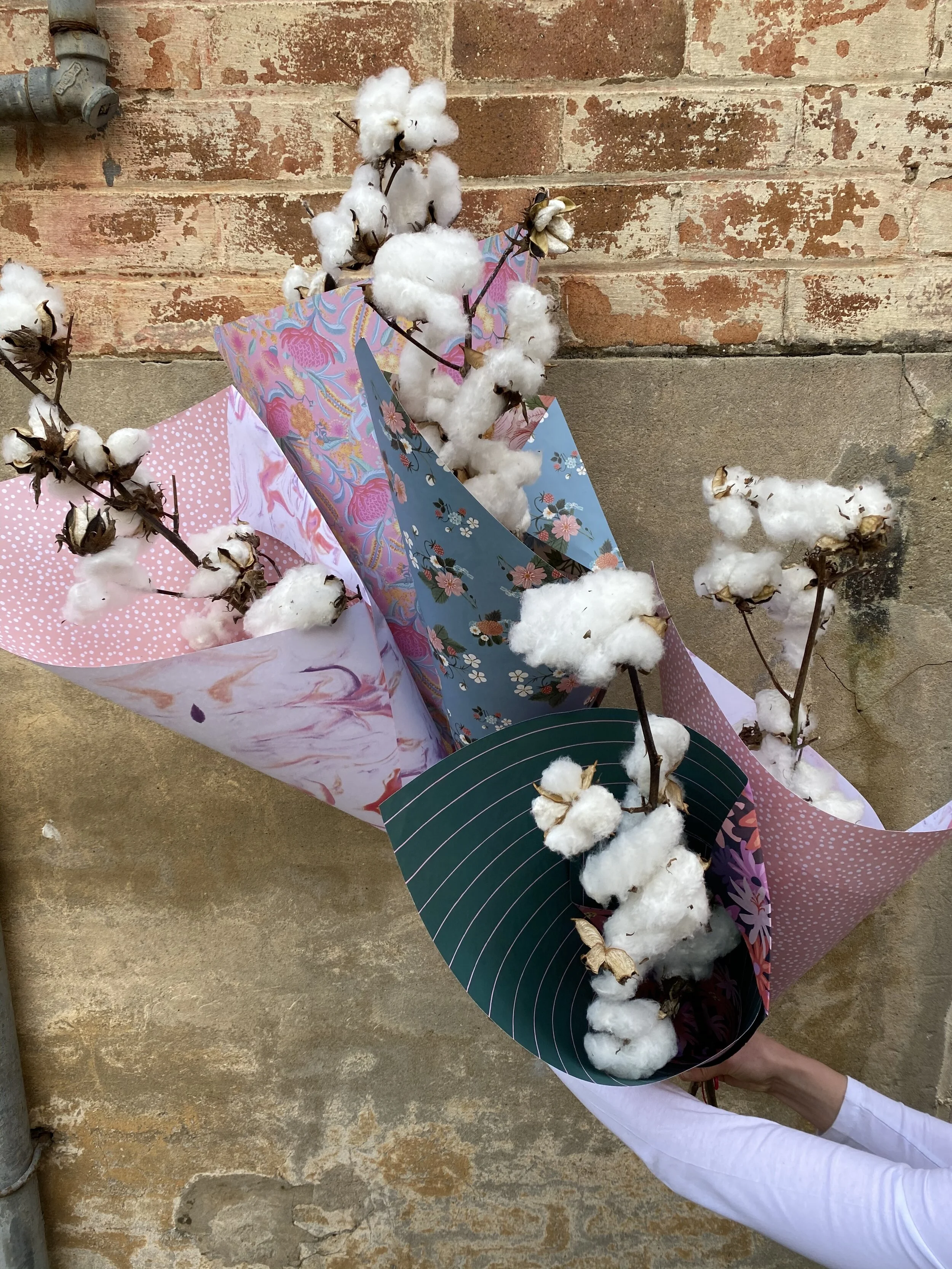 8C2DA7E0-CE2B-4434-916D-39F8DBF9685E