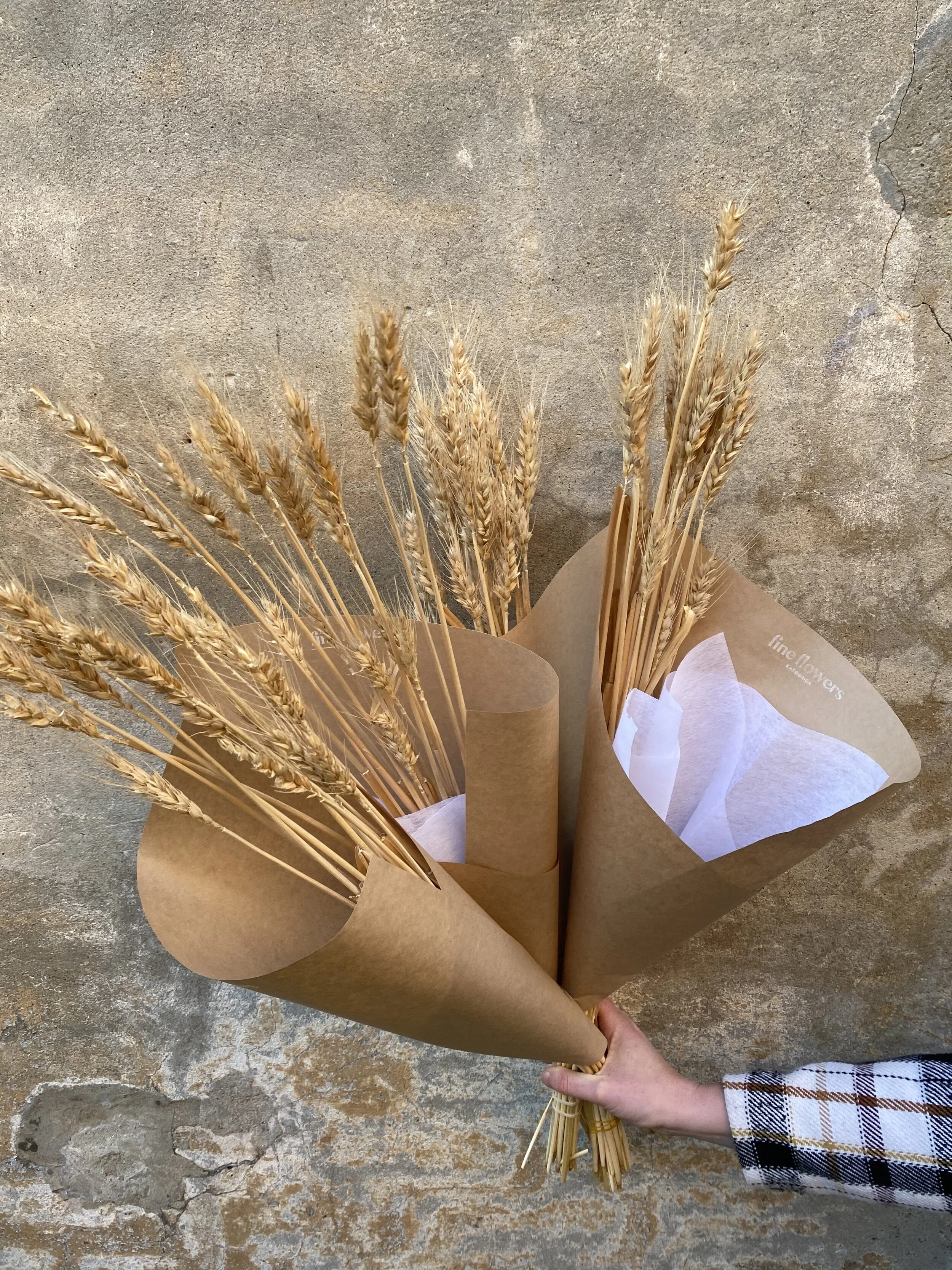 5B30D88C-7289-499A-9005-12426B974E35