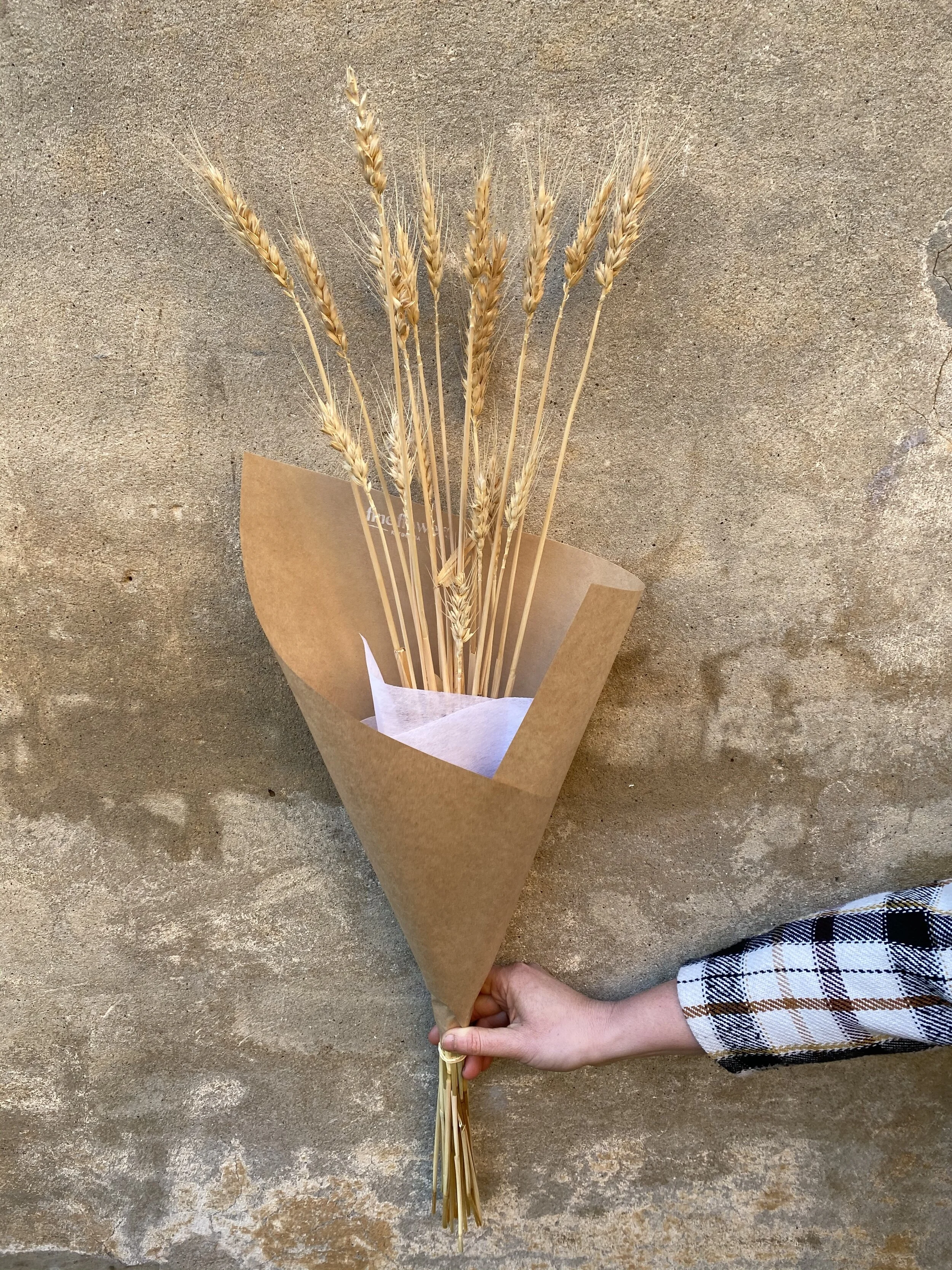 8AA6F6C1-1D8F-4E68-9206-DB7A88E69E76