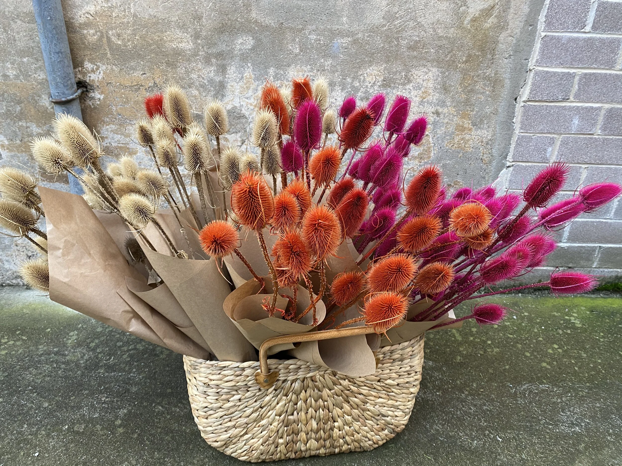 EC619C08-09F8-46F0-8631-F71D225A7F2A