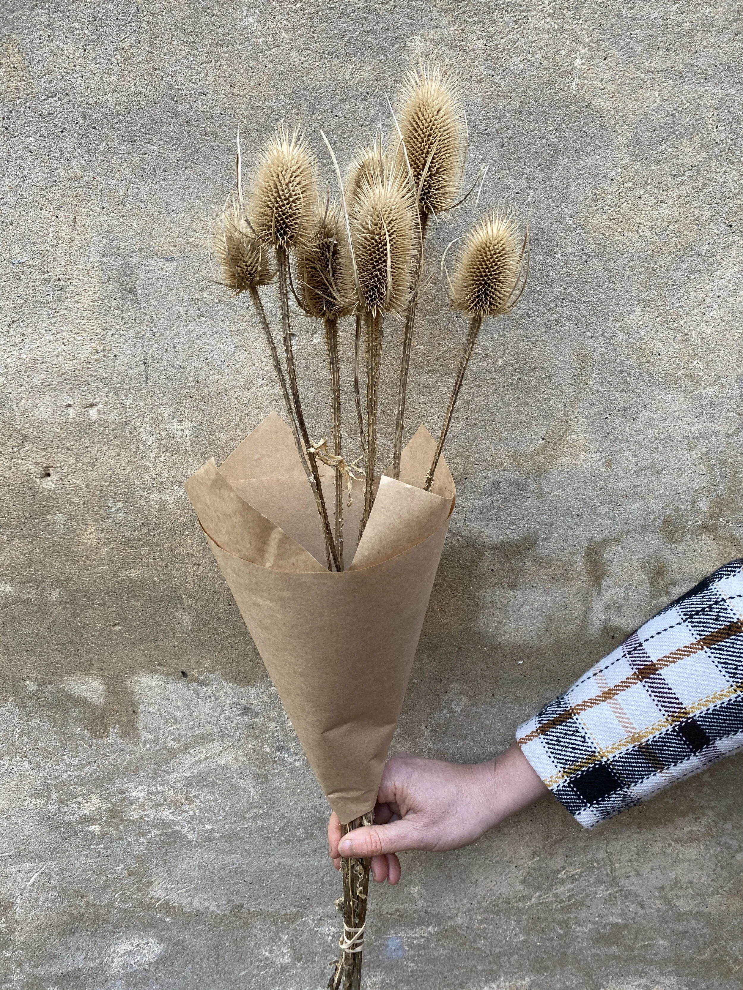 15F66208-89EA-476B-AB1F-20420EC5547C