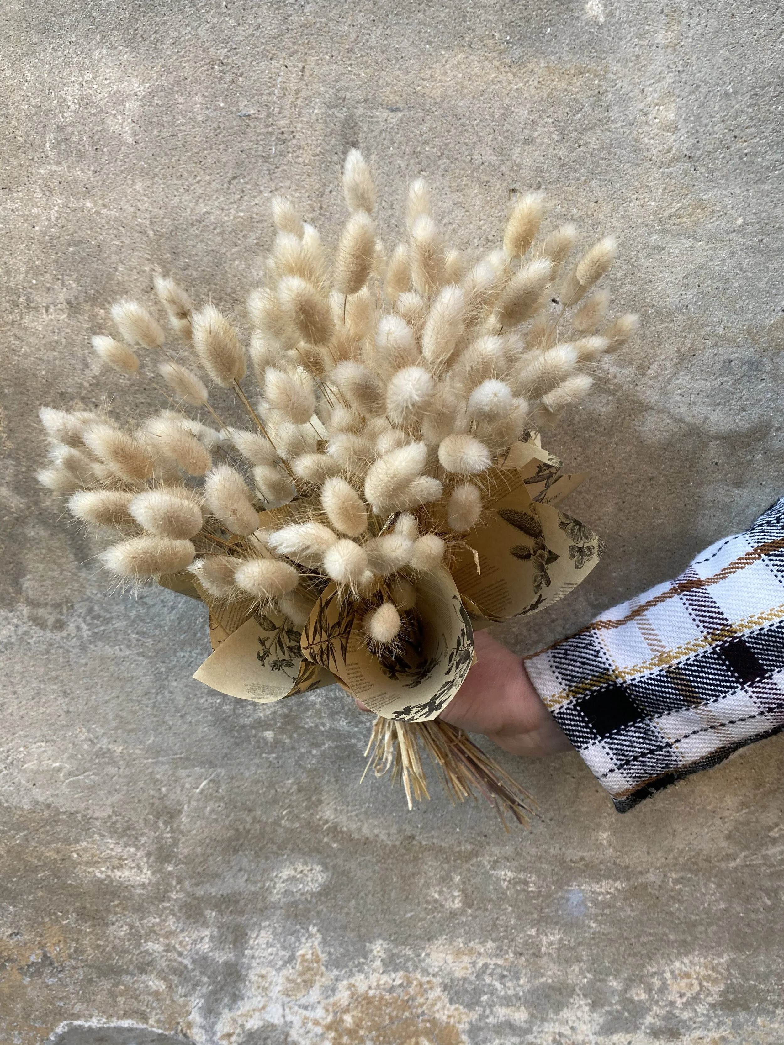 C64AE822-0F9F-4CD7-BD75-E5DC01C15EF1