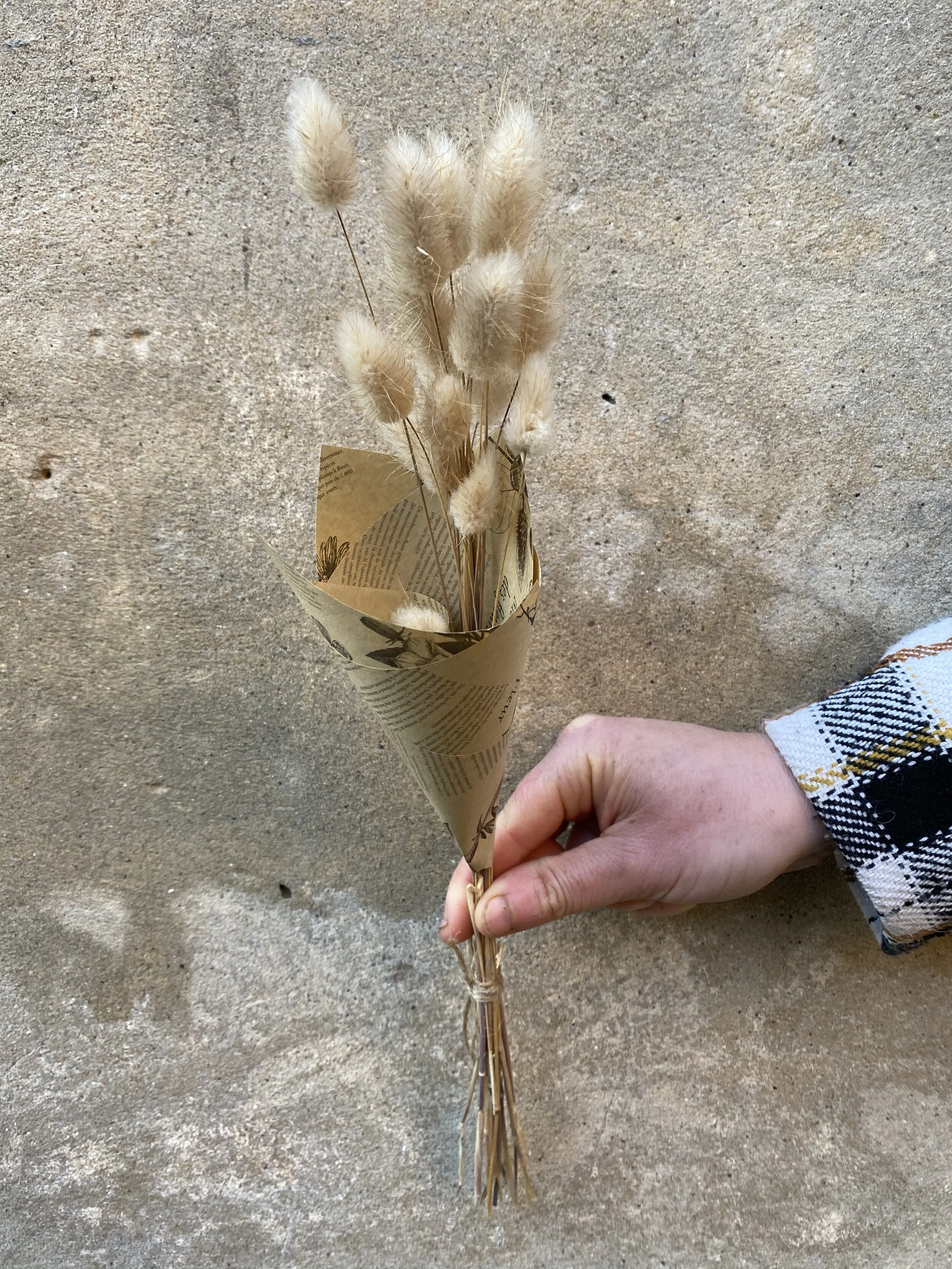 D016ED0B-FD2C-4F53-8B99-634E723A5CBA