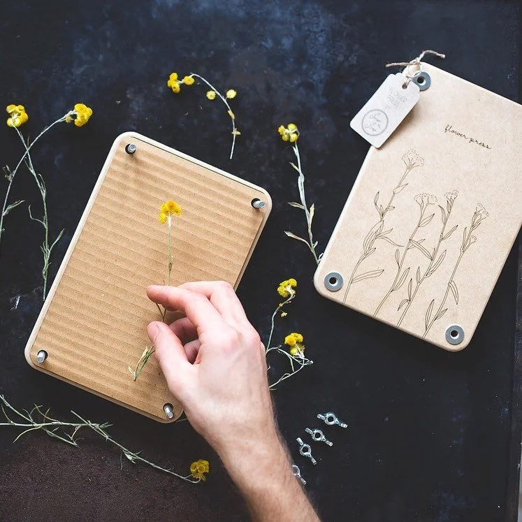 large billy button.jpg