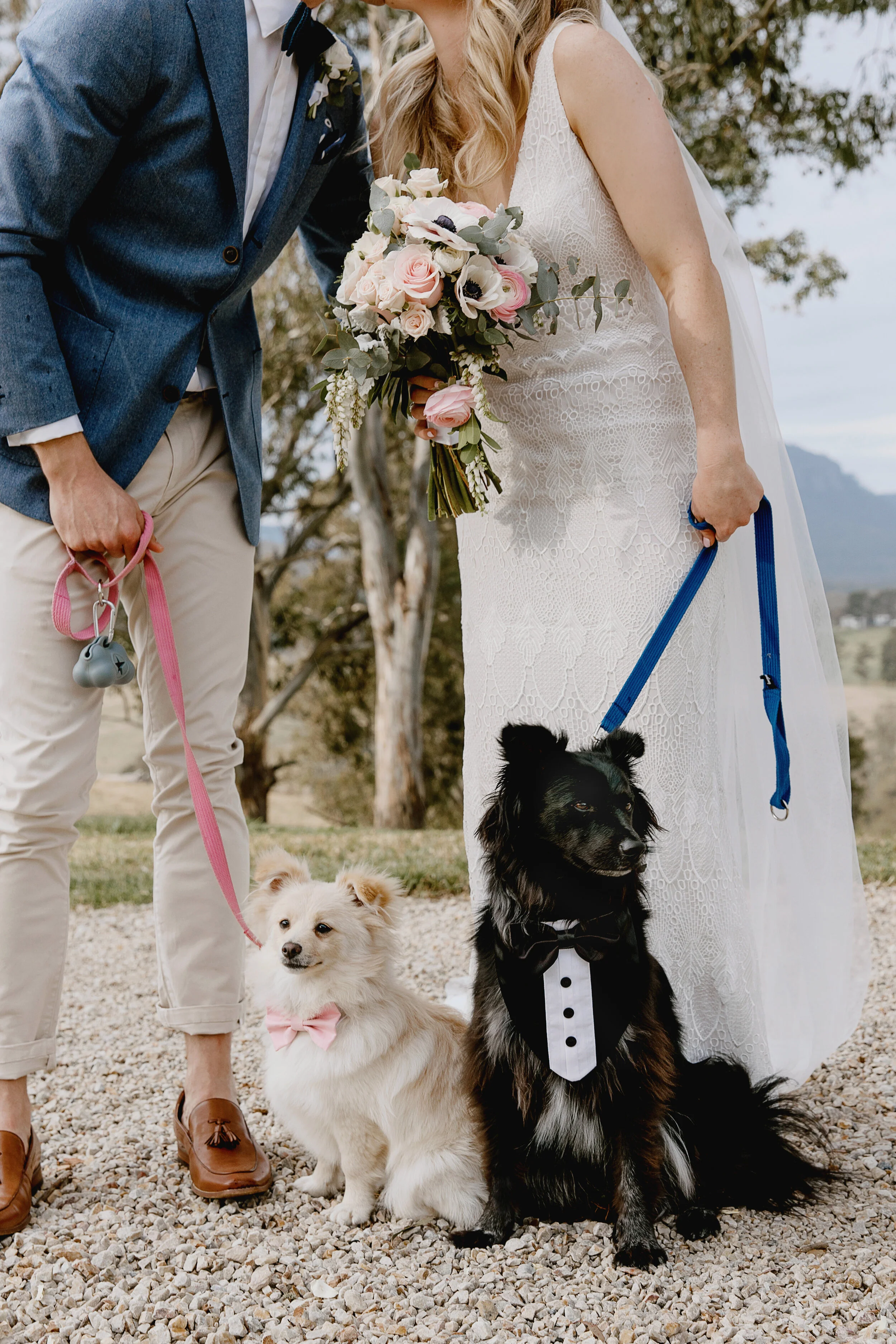 Tess & Jarrod 133.jpg