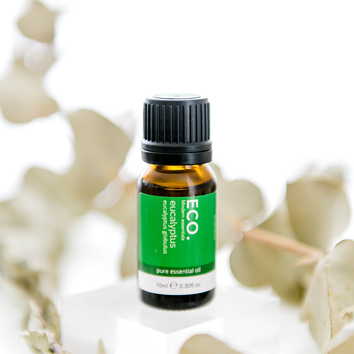 Eucalyptus(2).png