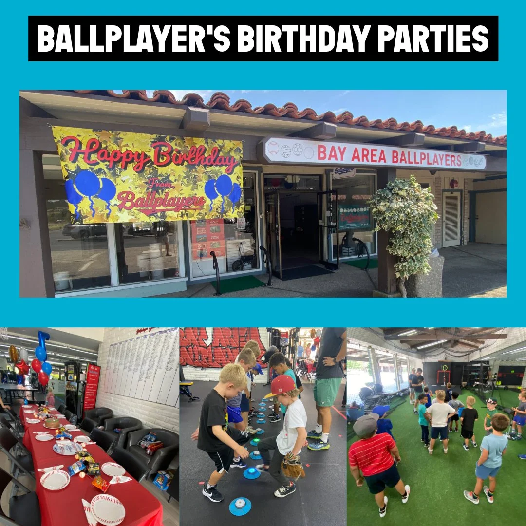 Birthday Party Graphic.jpeg