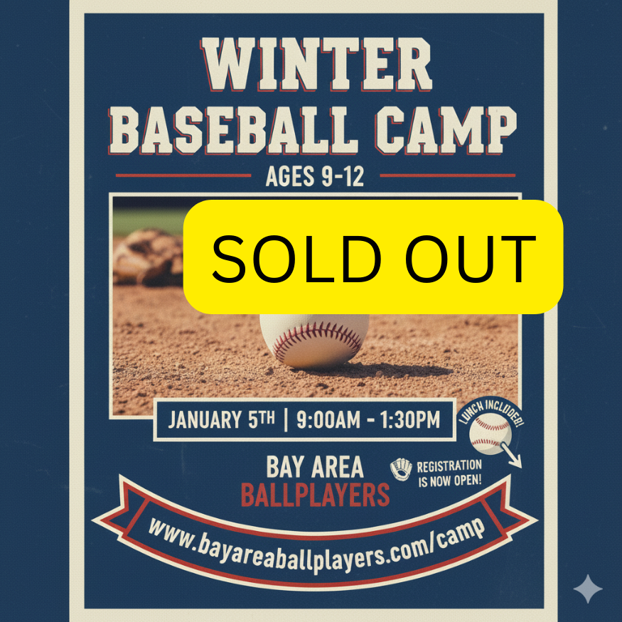 Winter Baseball Camp (1).png