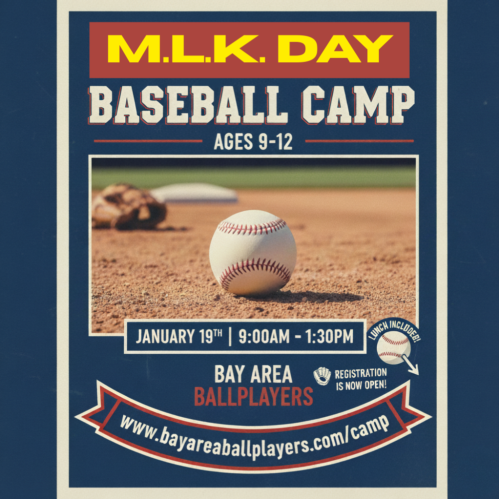 Winter Baseball Camp (2).png