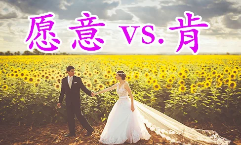 教学干货：“愿意”和“肯”有什么不同？ — AllSet Learning