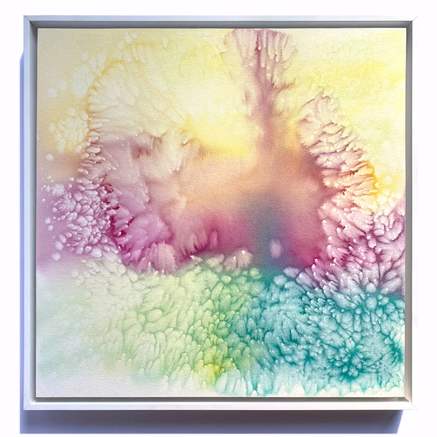 COTTON CANDY - PRINT