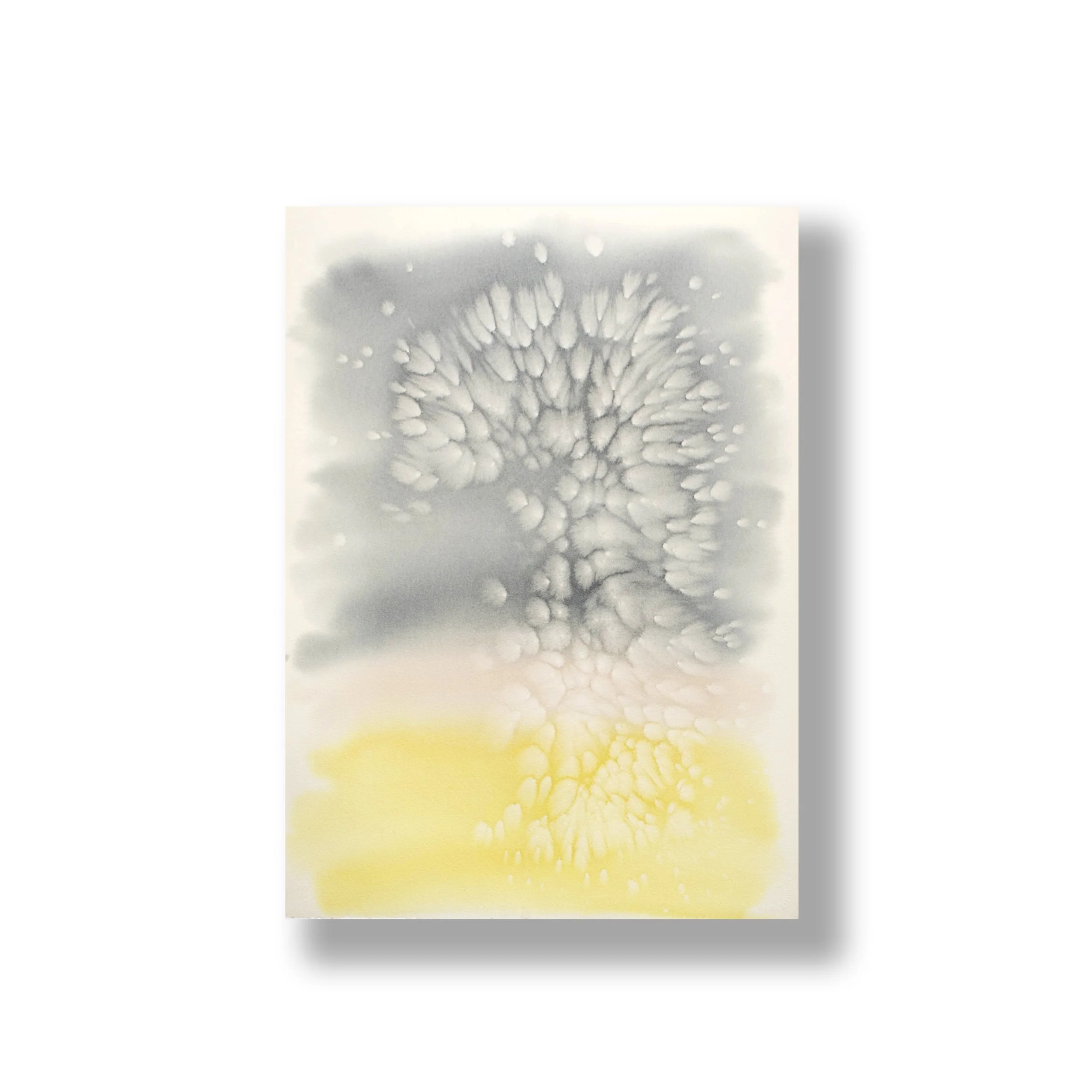 SOFT TO TOUCH / $2,300