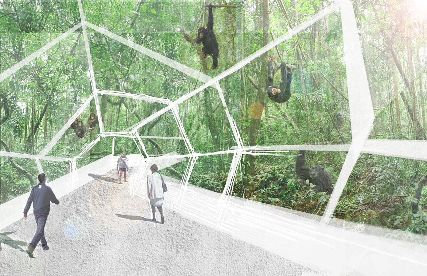 initial conceptual collage