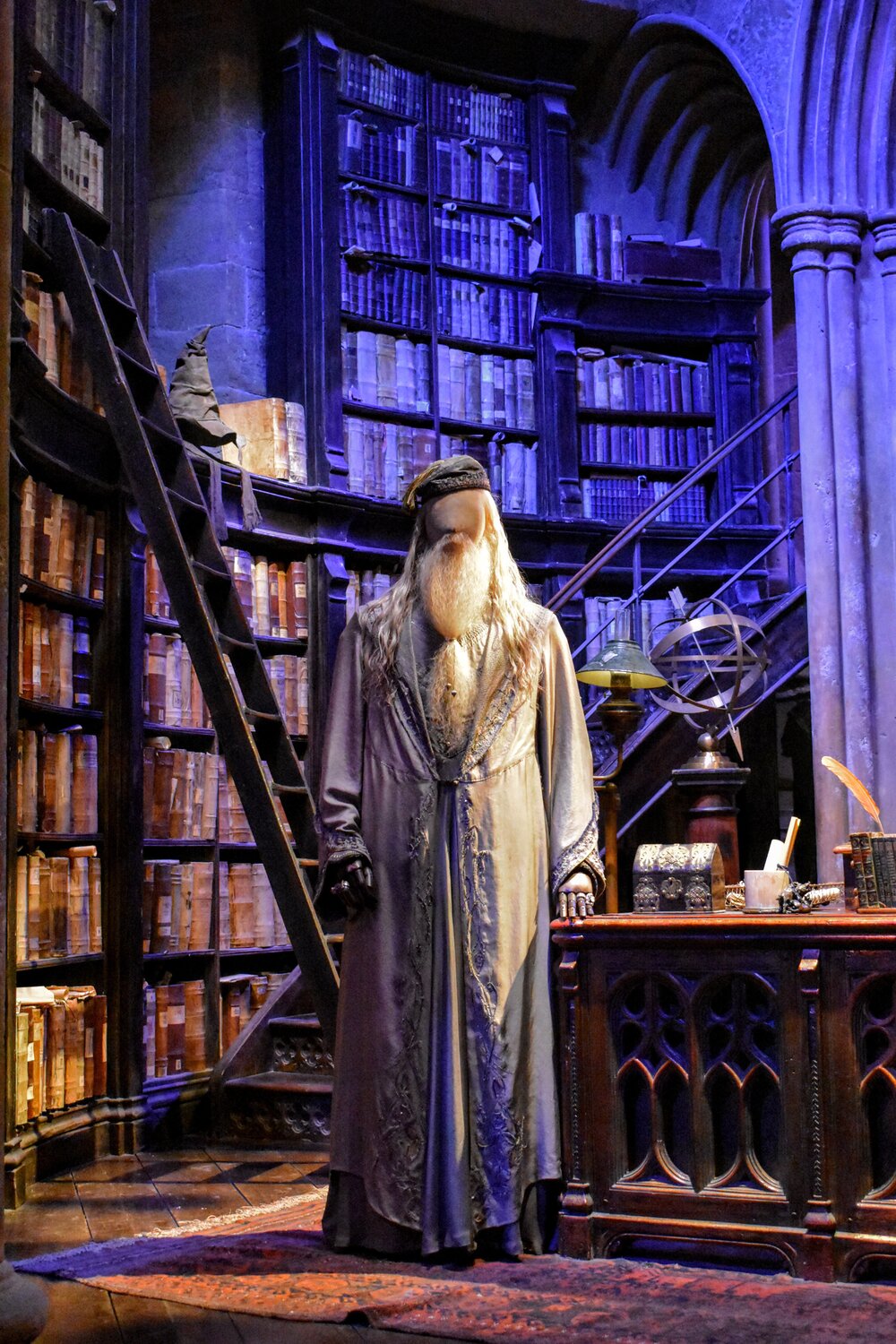 Dumbledore Costume &amp; Sorting Hat